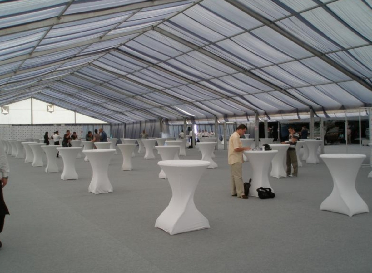 Cort-Expozitie-img_1